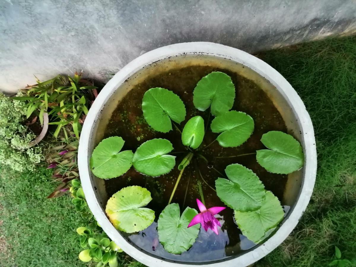 Orchid Villa #10 Hikkaduwa Ngoại thất bức ảnh