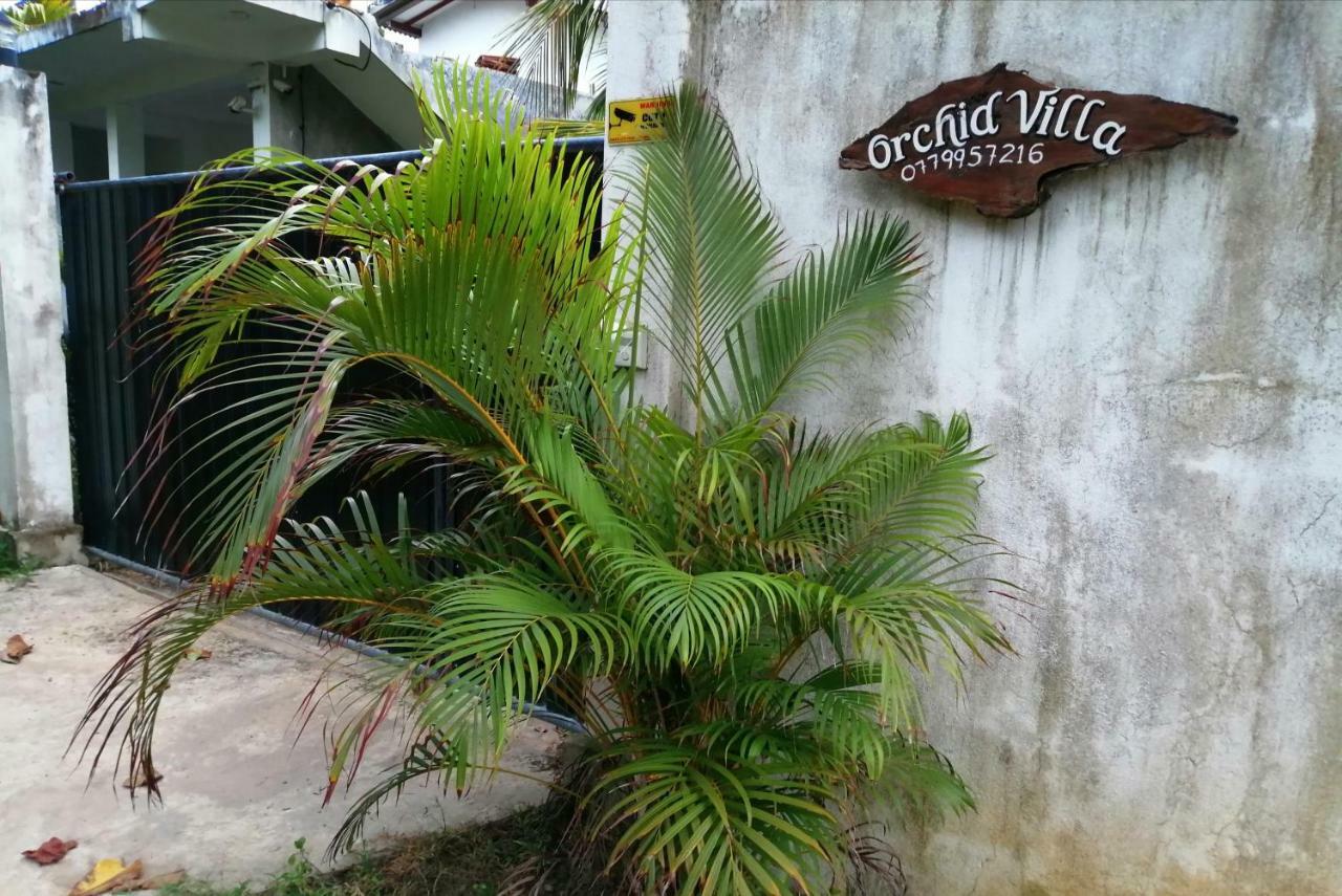 Orchid Villa #10 Hikkaduwa Ngoại thất bức ảnh