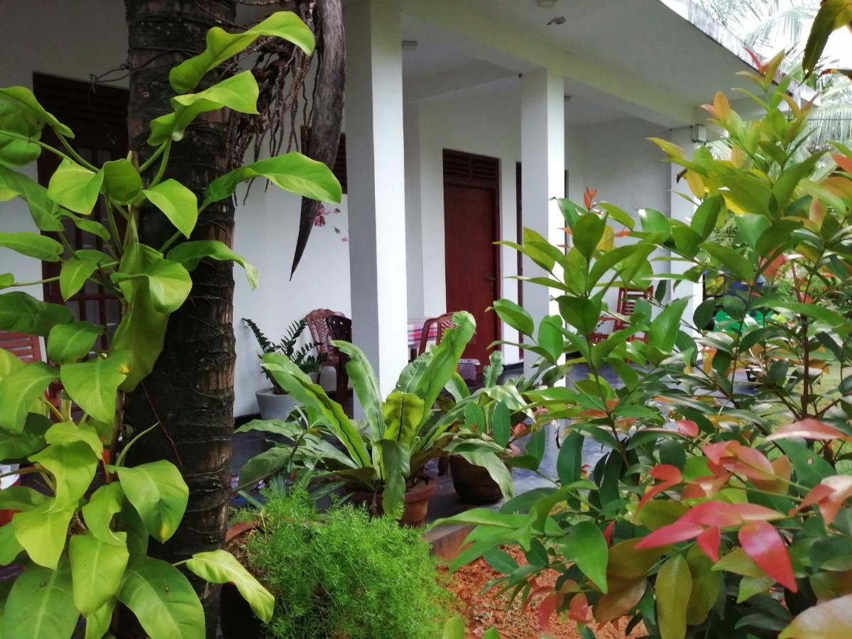 Orchid Villa #10 Hikkaduwa Ngoại thất bức ảnh